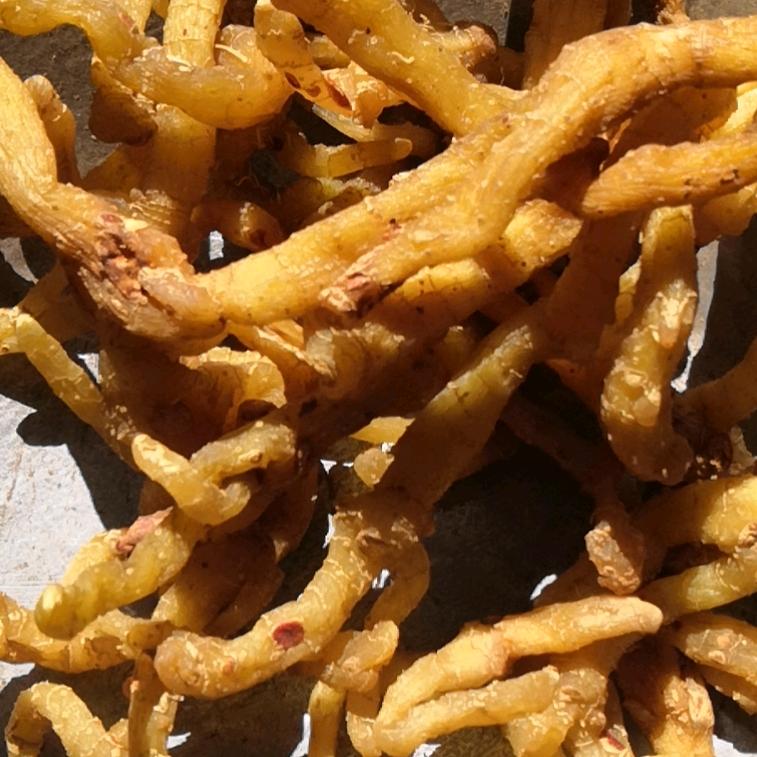 许杨、黄精，玉竹，辽五味，覆盆子产地直销