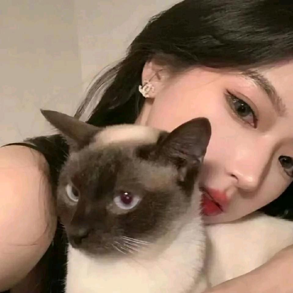 毛毛