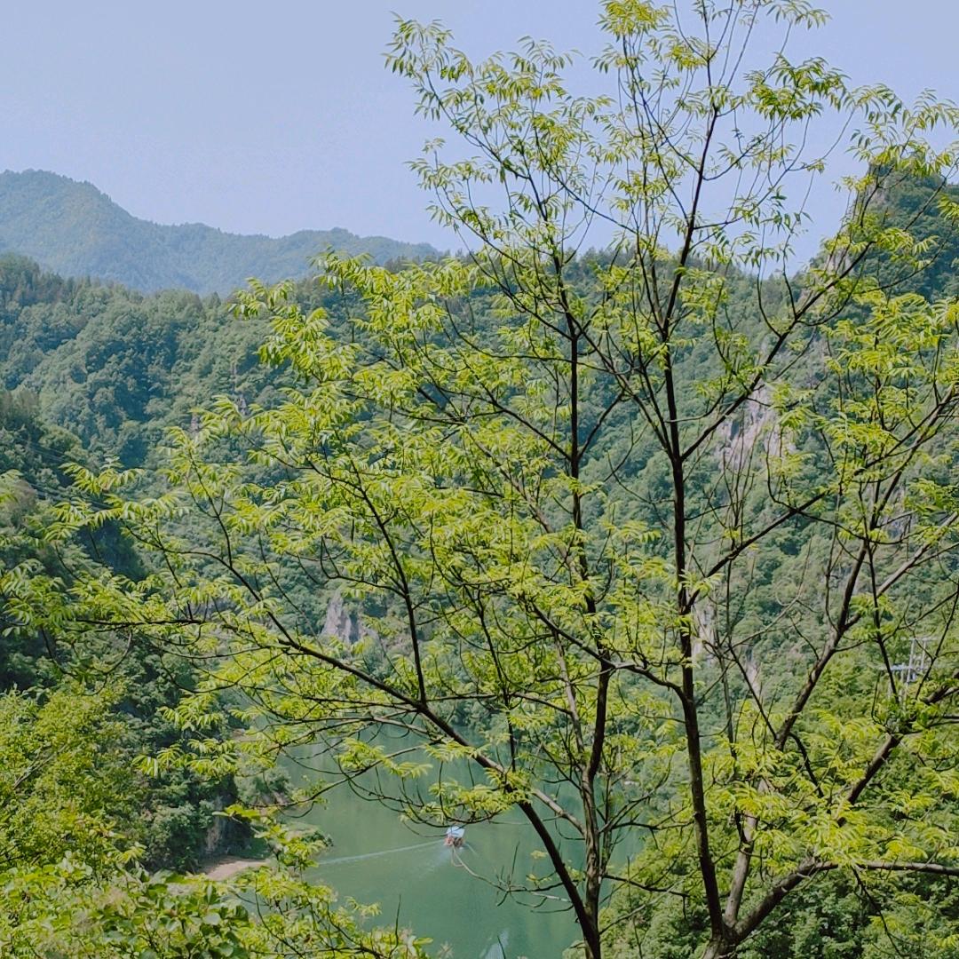 燕姐(晚上19:18分开播)🎤