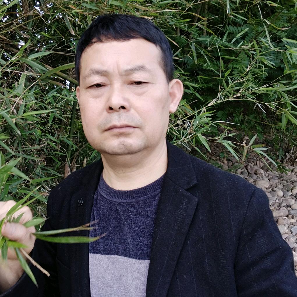 刘氏老黑膏
