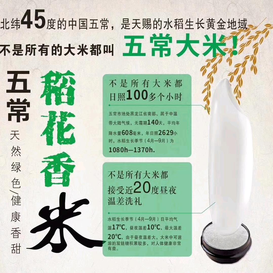 勇往直前