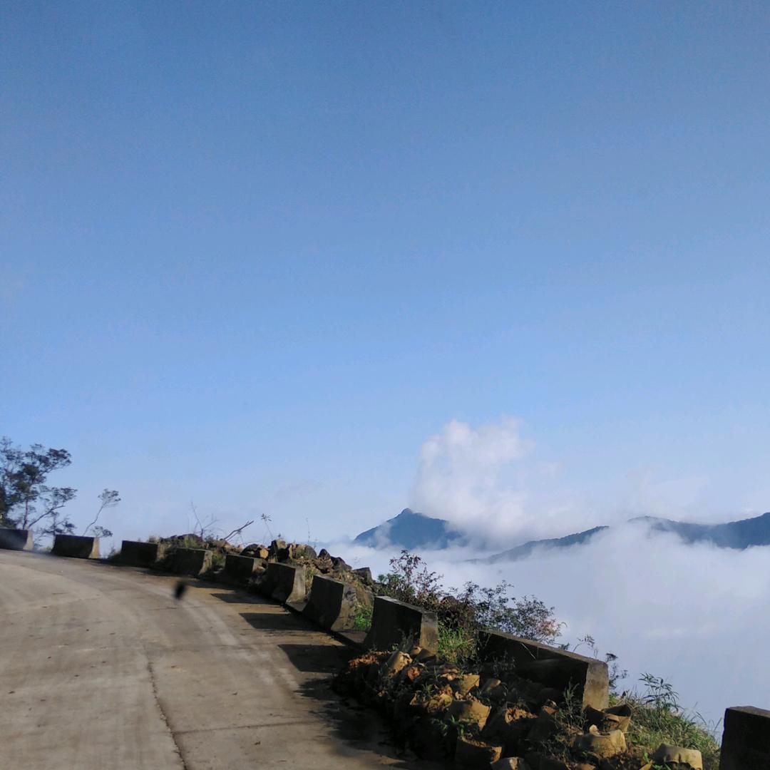 乳源，大桥，富华山羊养殖许保华