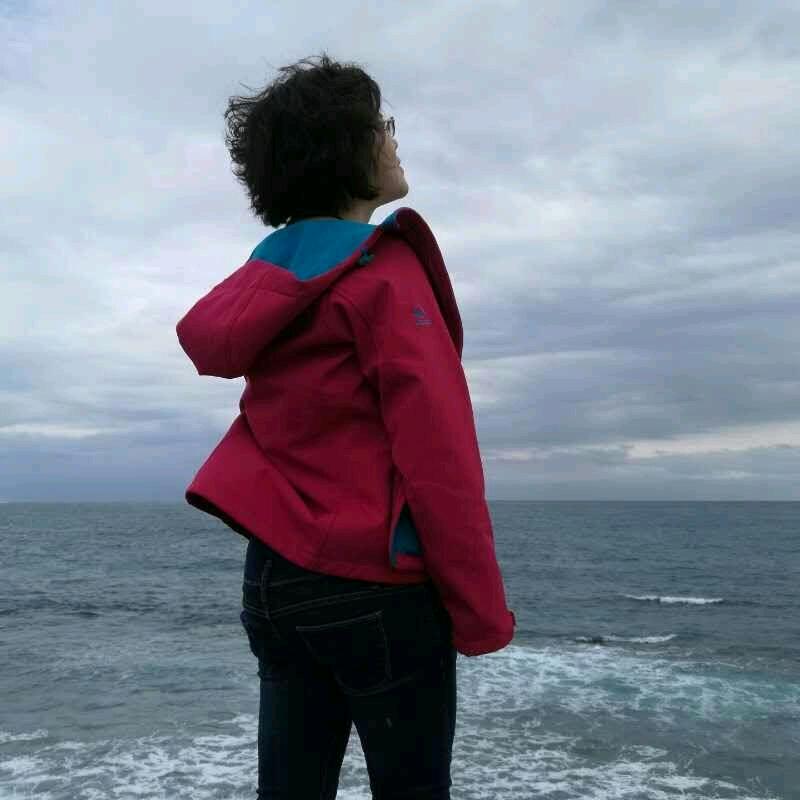 桃李春风农场的香山枫叶