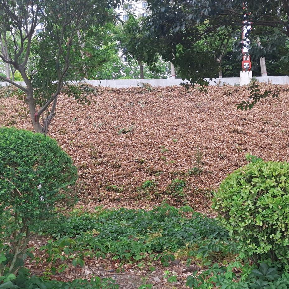 用户7000393515857