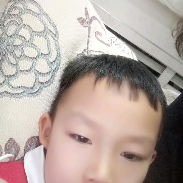 执着的年纪