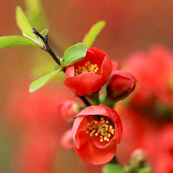 🌈也是风雨也无情🌈