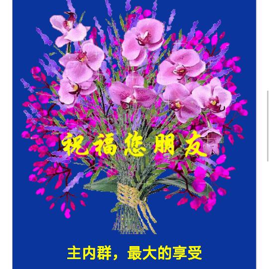 张姐手工酵子馍