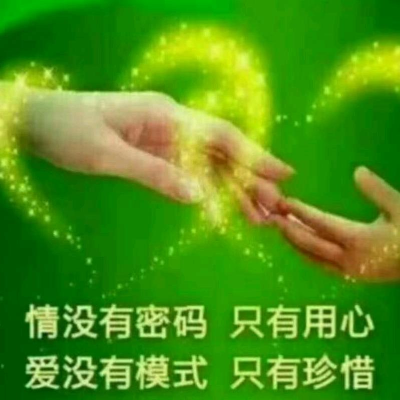 一生缘