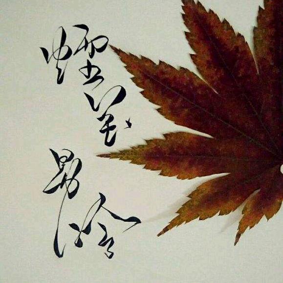 烟花易冷