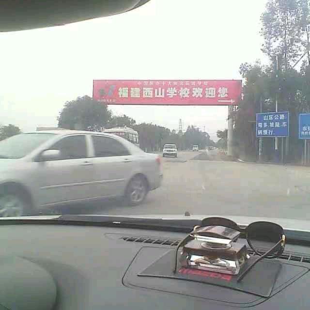 方老虎