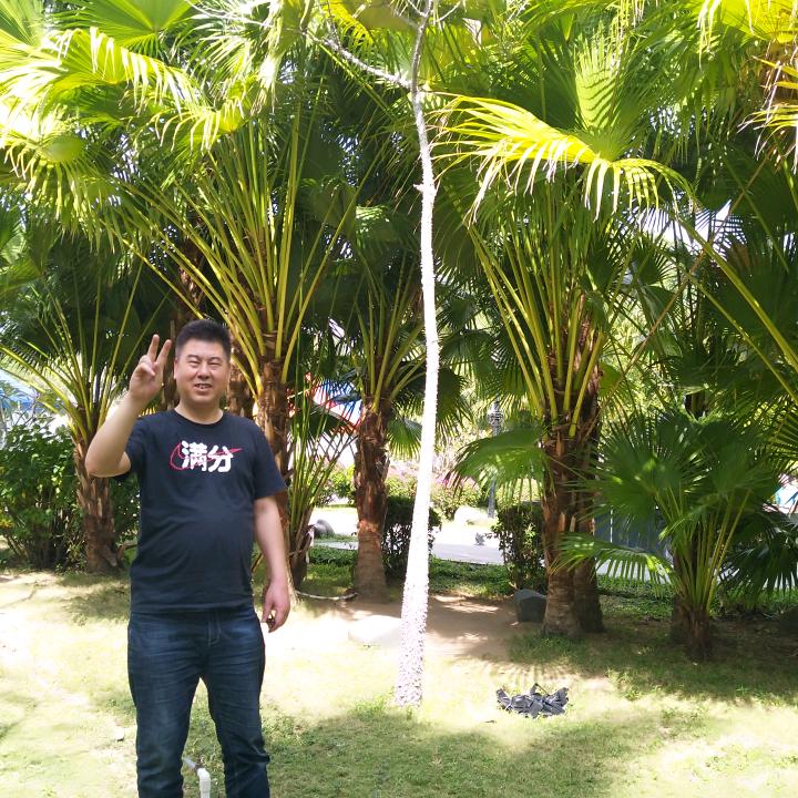 笑看风云，孤独终老