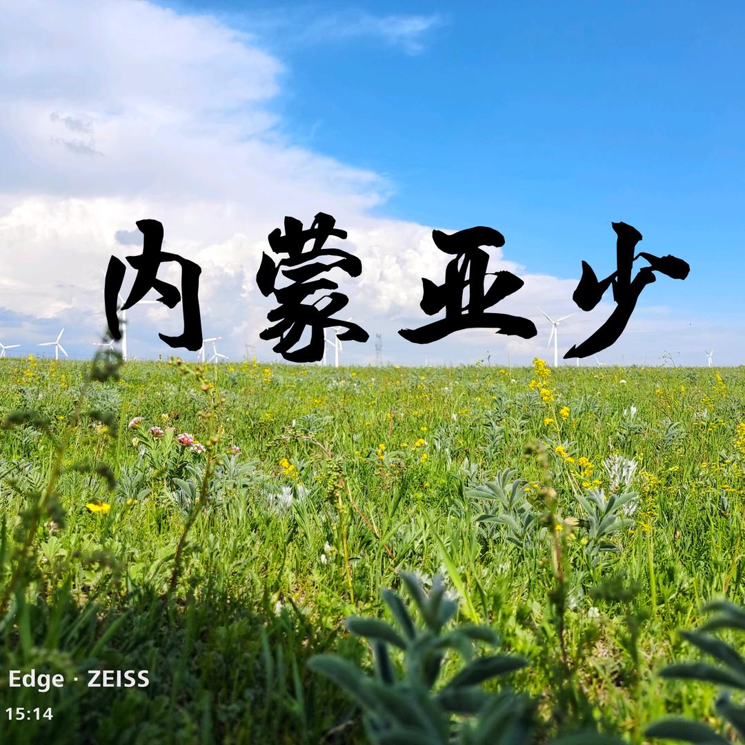 内蒙亚少