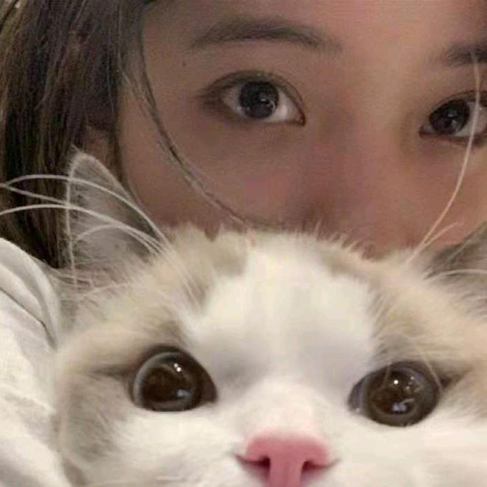 @Hui-