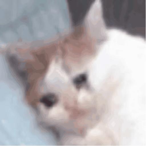 桃子也有彩虹头.