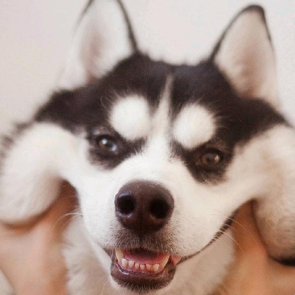 浛個🍼闖兲芐😘