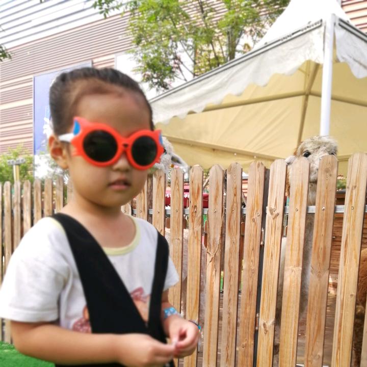 文文