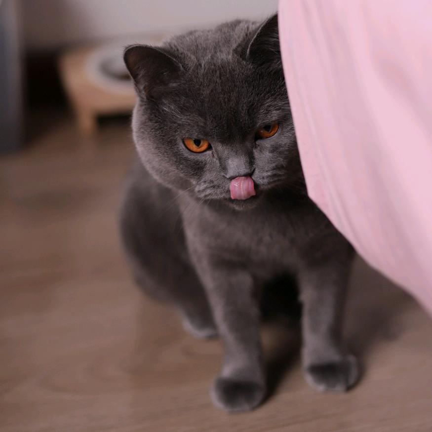 我能干啥