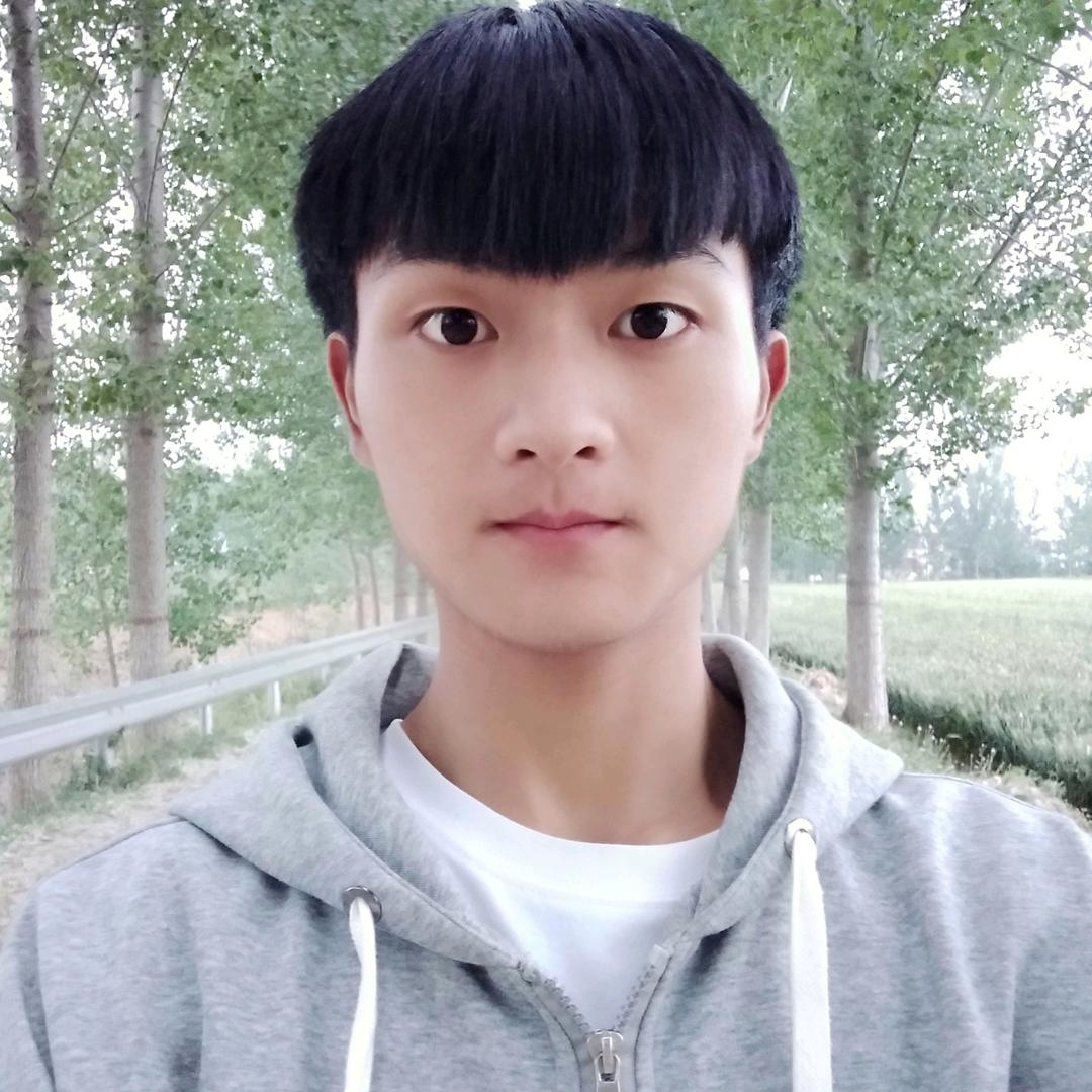 努力的小凯