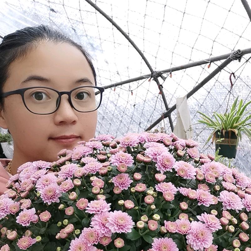 苏绿海绿植花卉