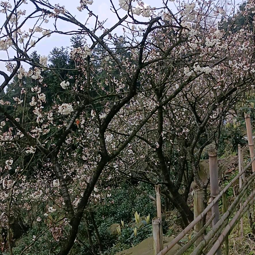 风的港湾
