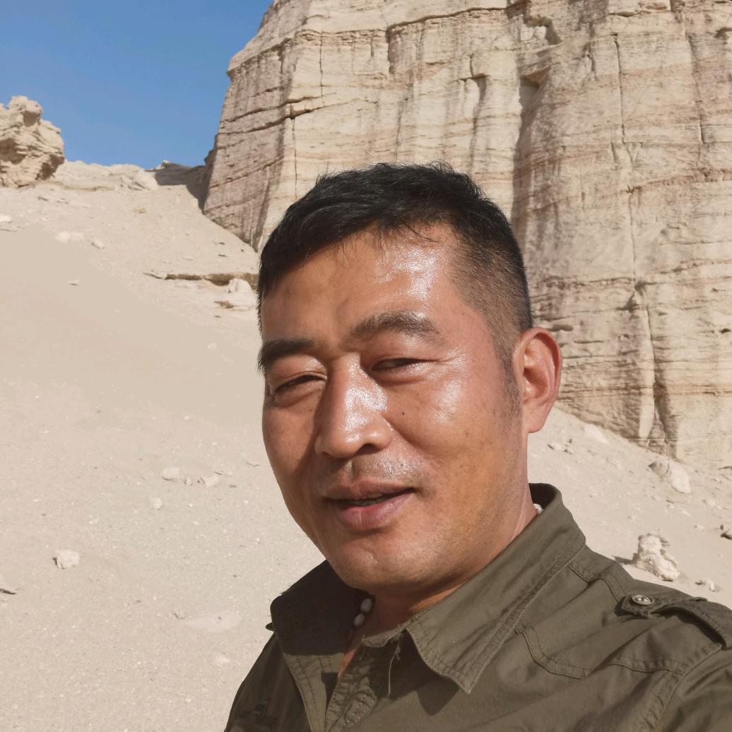 戈壁骆驼
