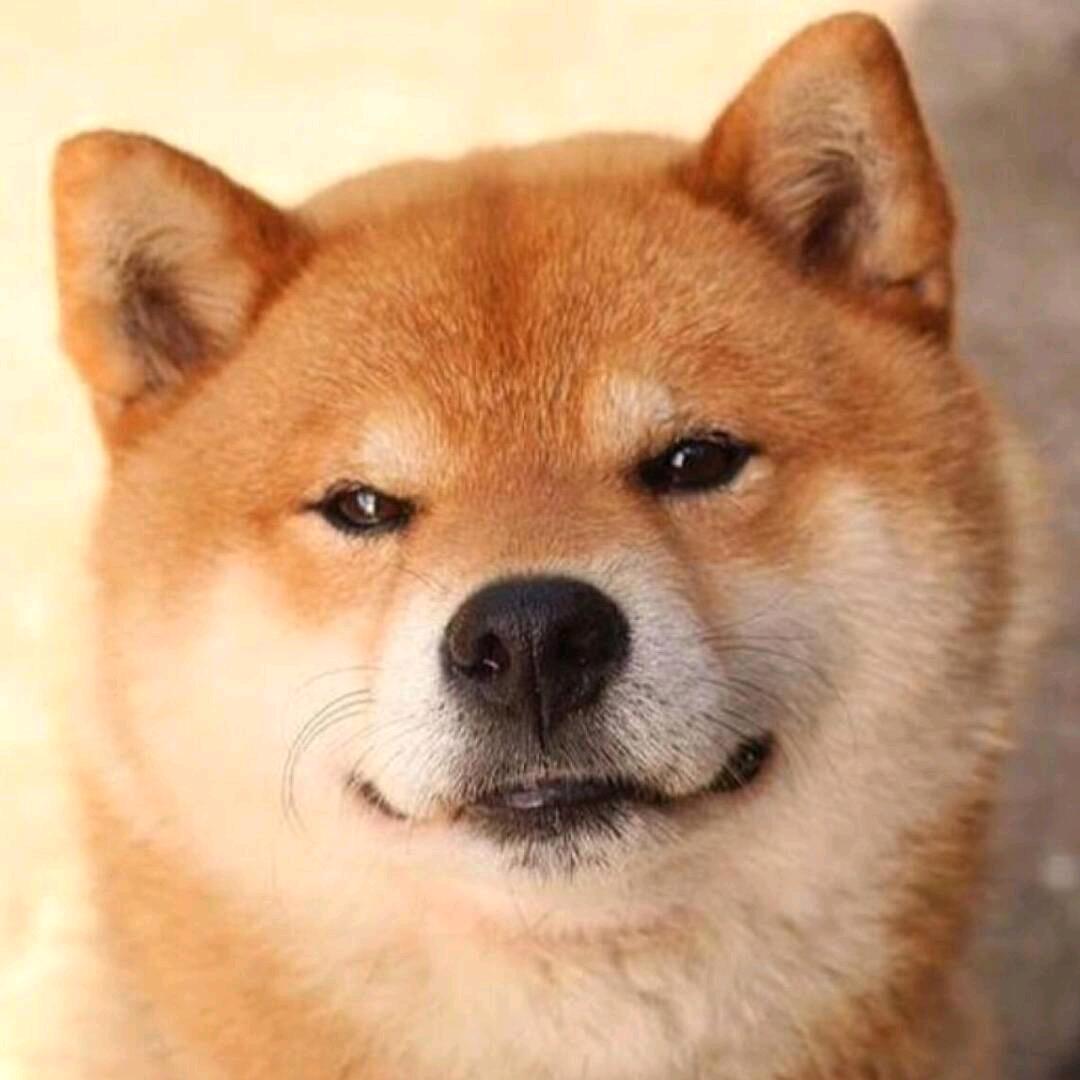 君煦♦️