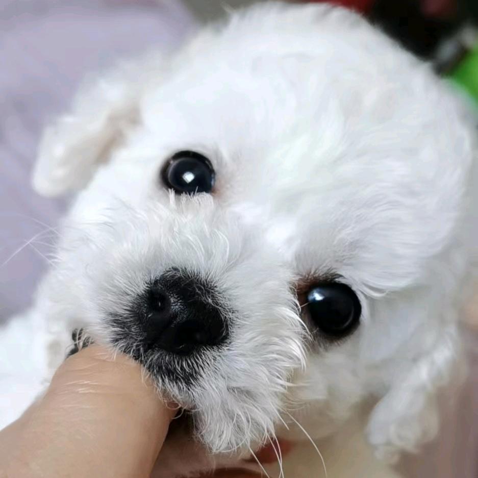 张小桃逗你玩！