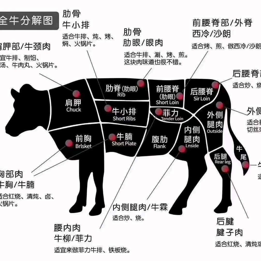 西伯利亚泰坦龙徒手捏爆小行星