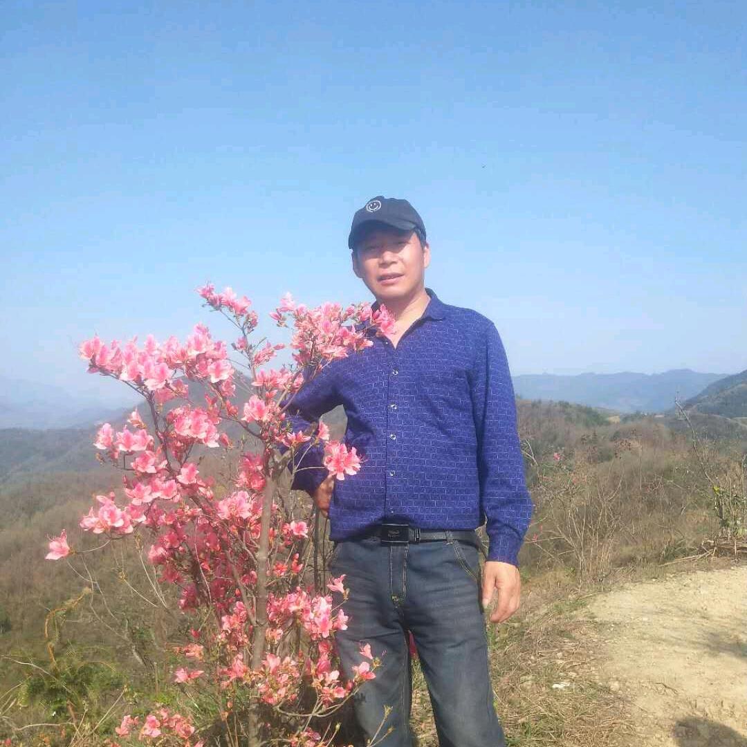 好人一生平安