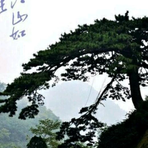 德行天下