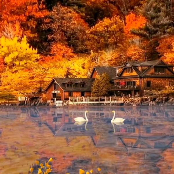 与夕阳一醉方休