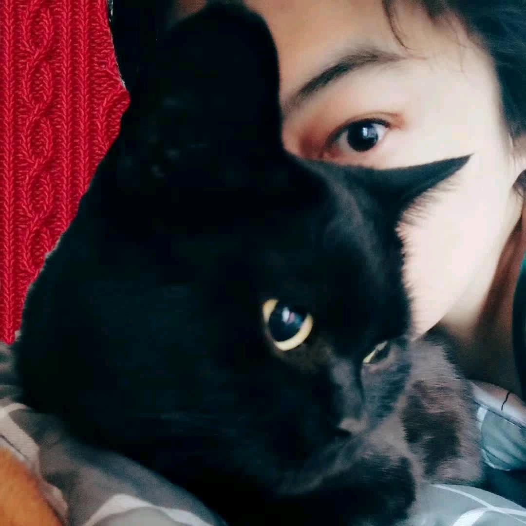 黑黑大王