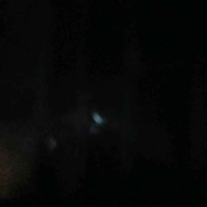 忍
