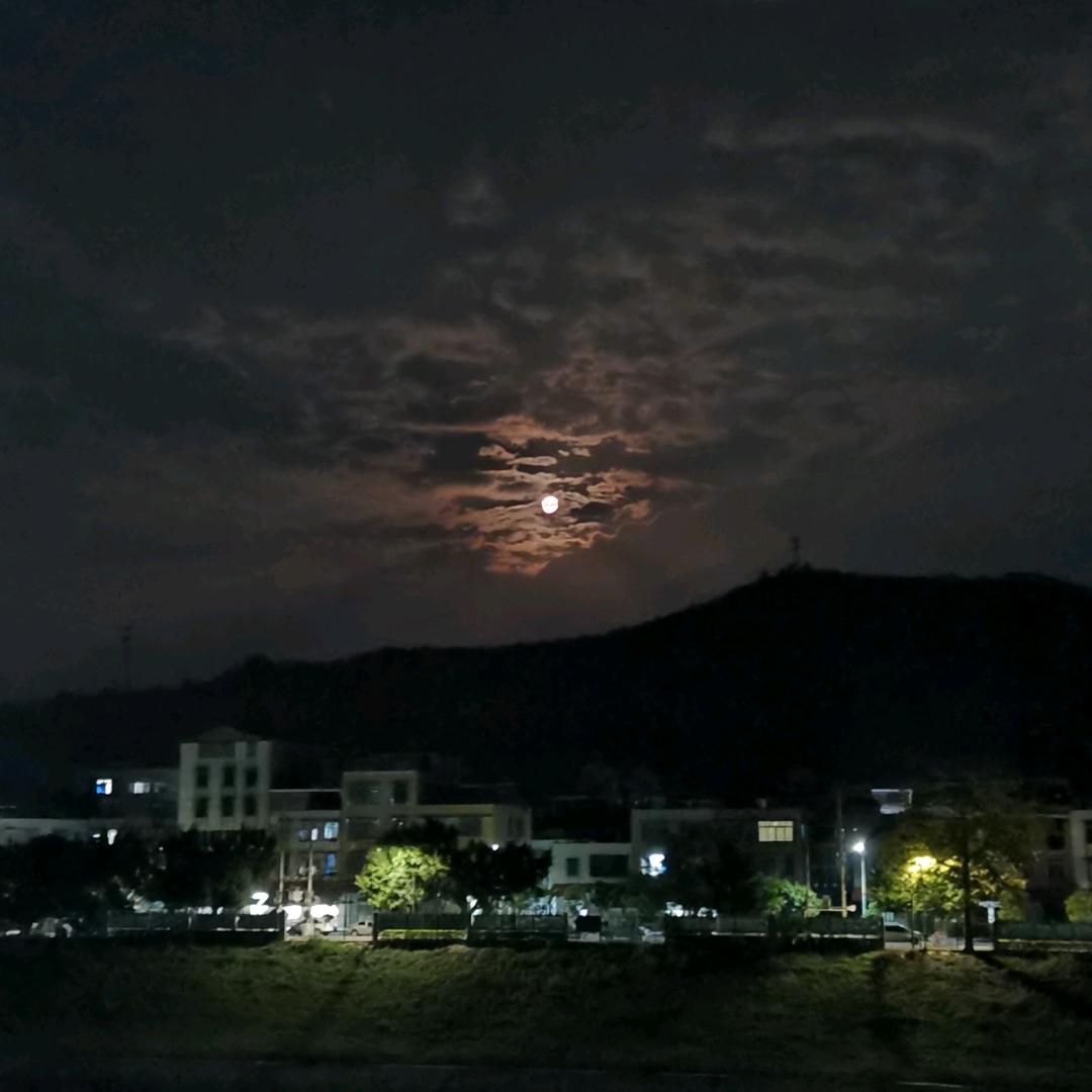 小木木