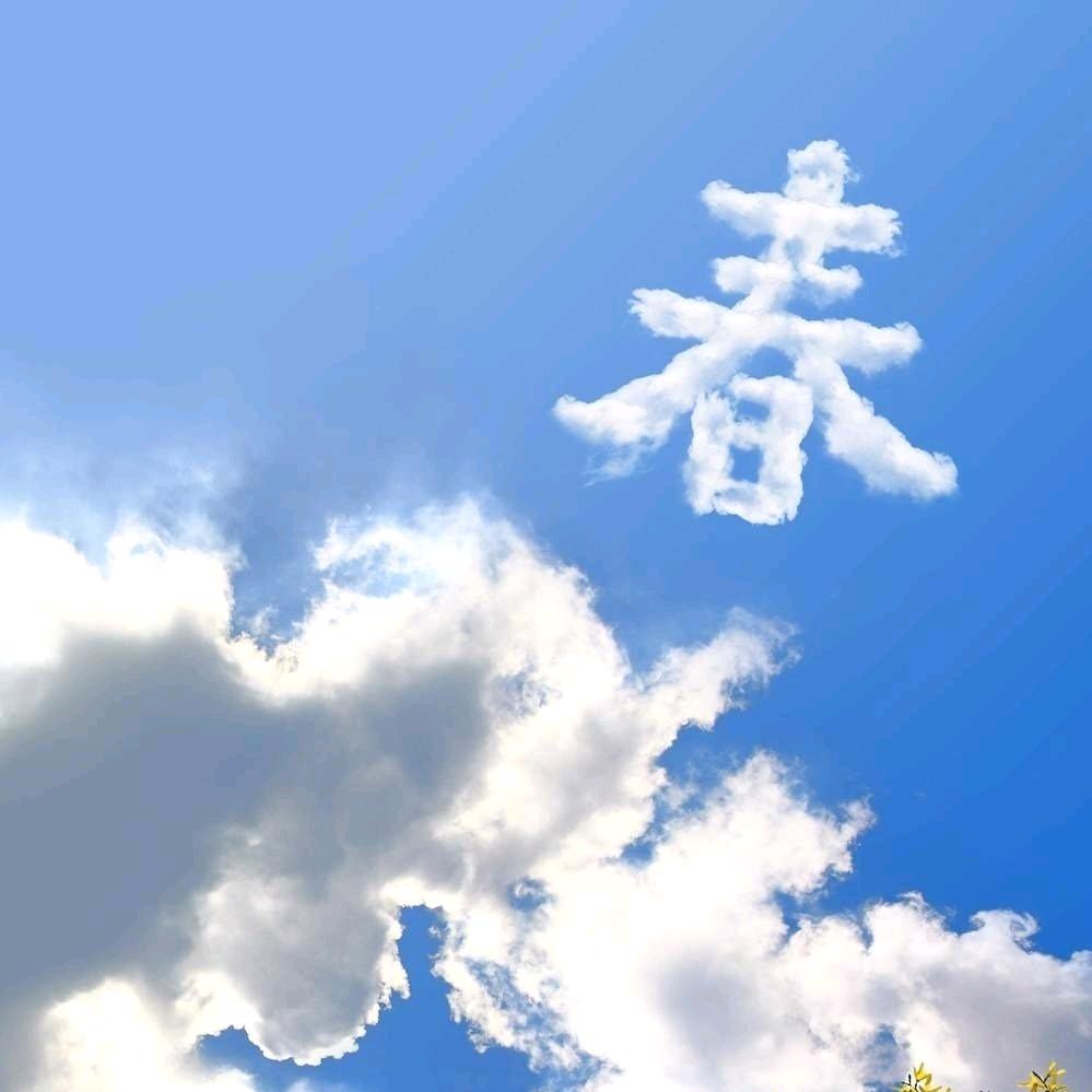 づ 林 ლ