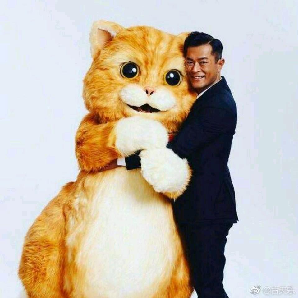 鹏洲