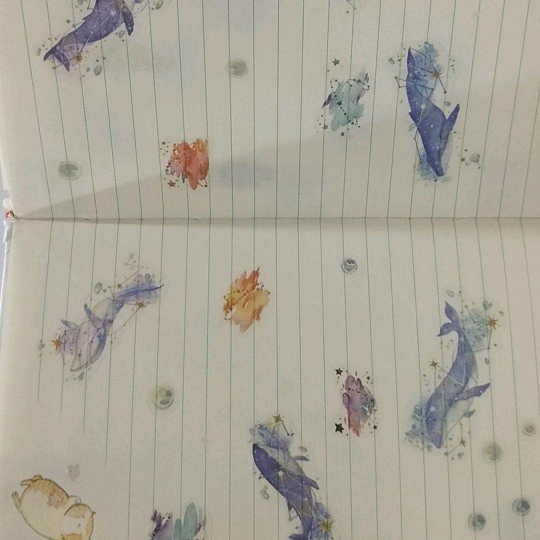菓怡