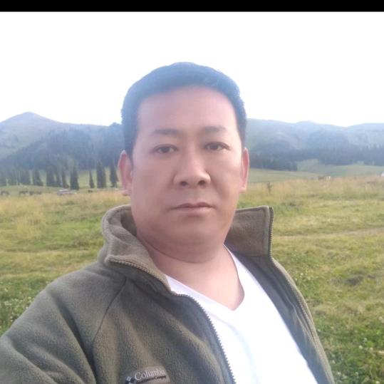 哈比布