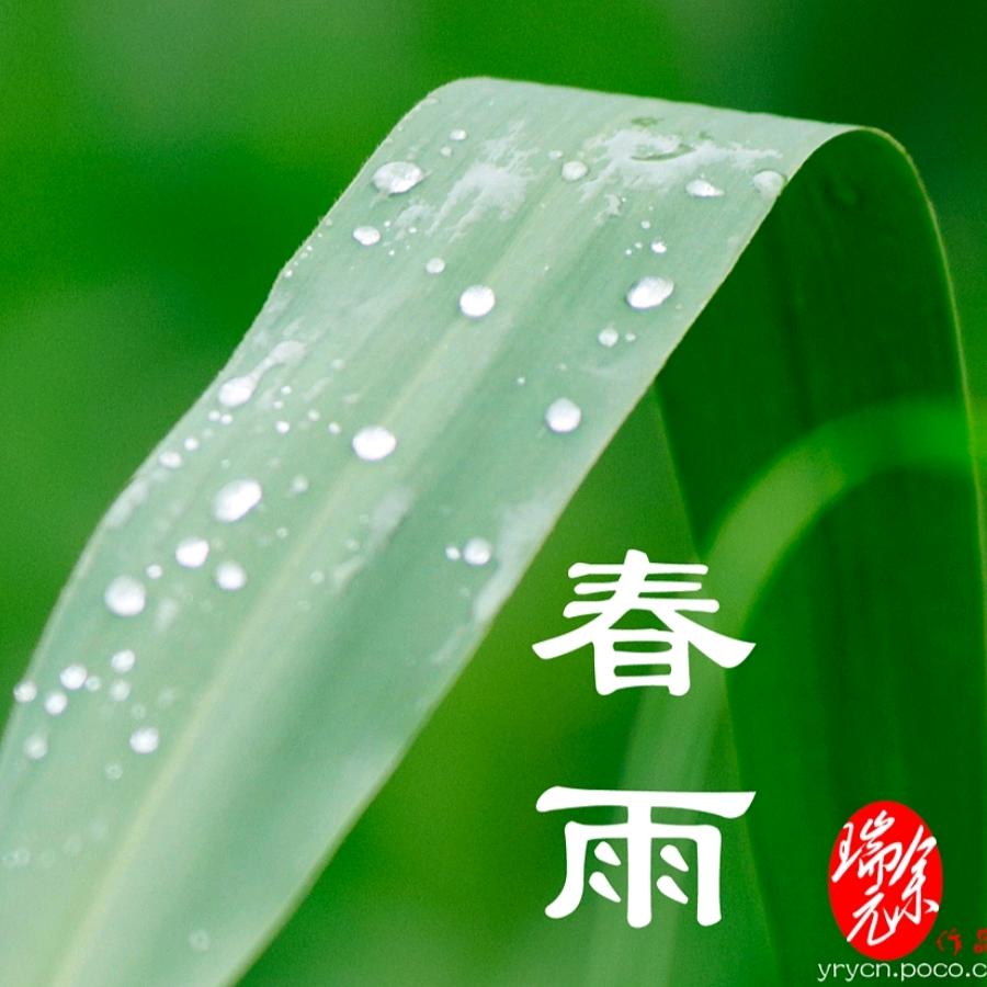 春雨♬