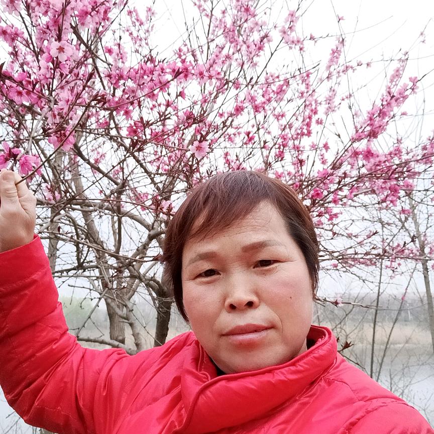 王秀梅