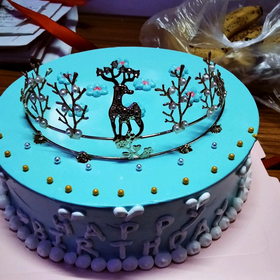 一枝梅花苦寒来