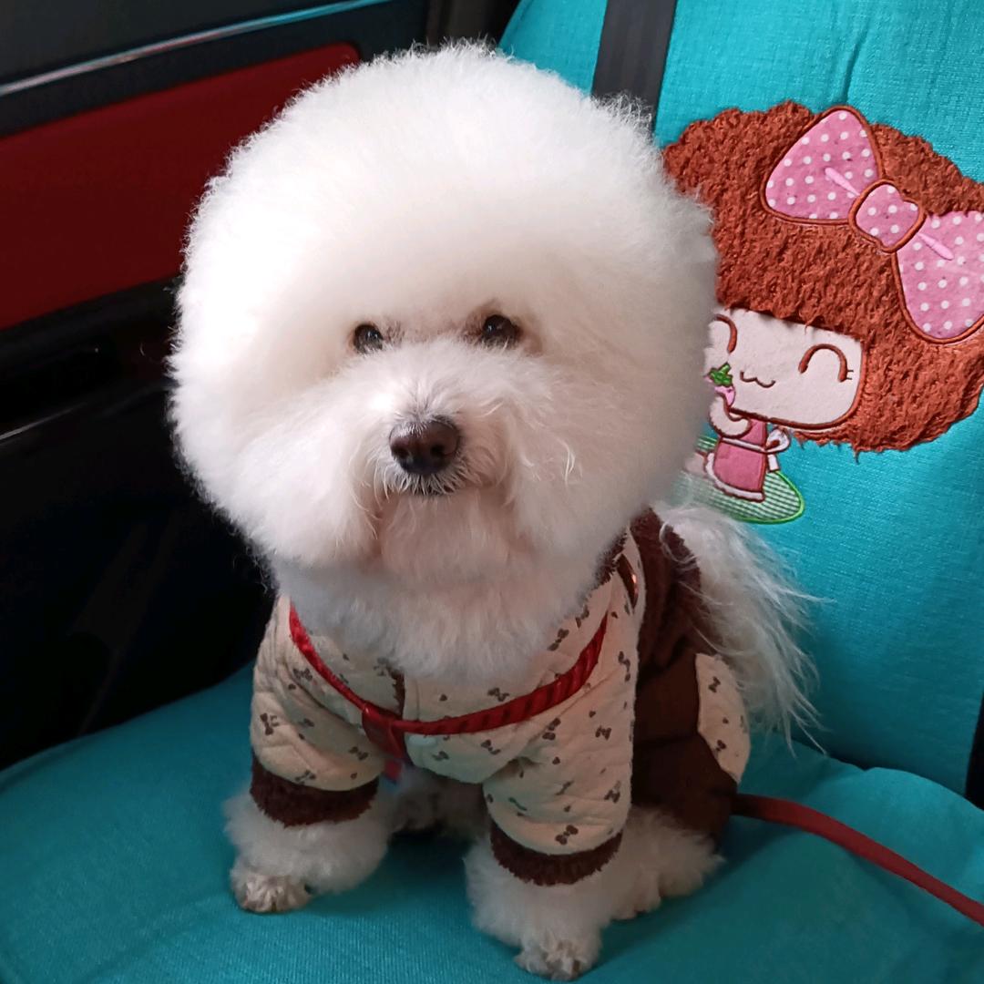 爱笑的小熊熊
