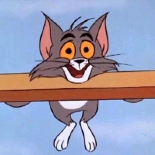 哈 哈 哈