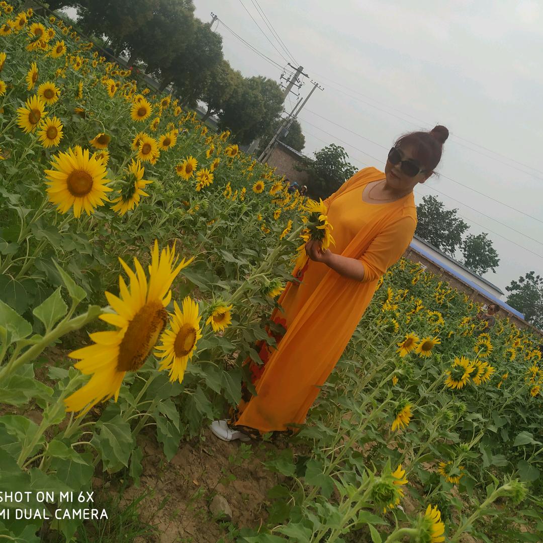 婚庆 歌舞 锣鼓