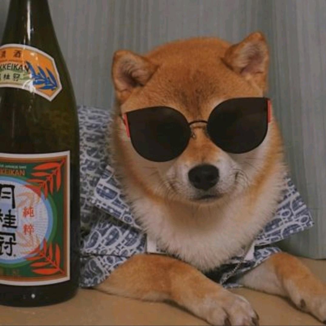 肥仔的夏天