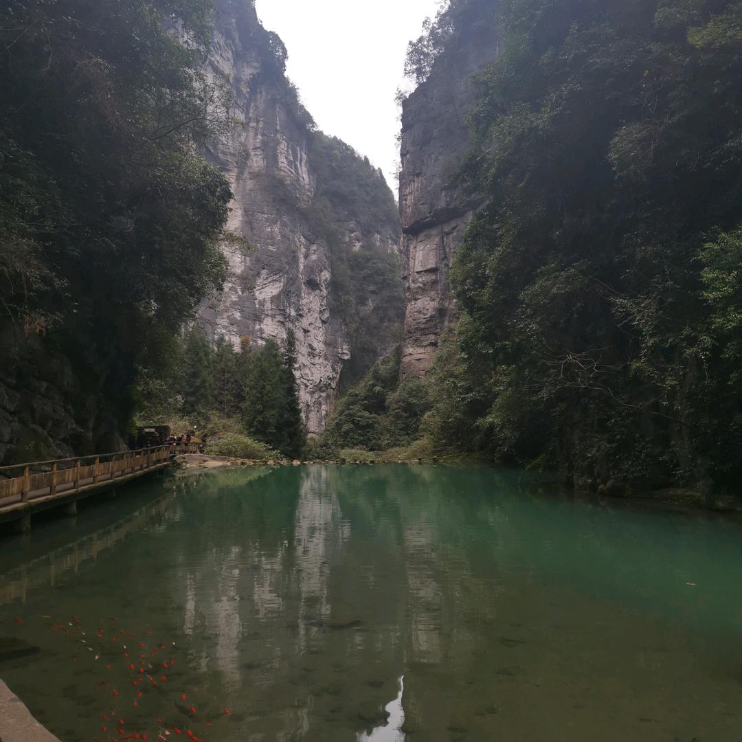 我就是我@