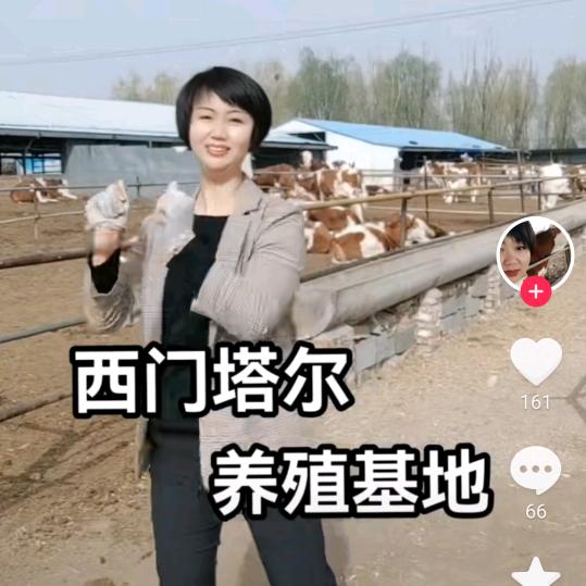 聚鑫缘肉牛养殖场