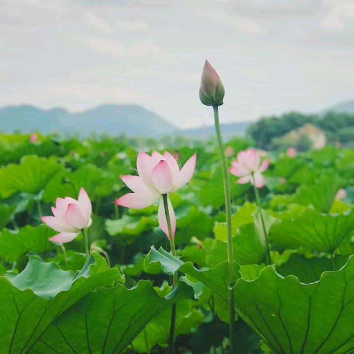 一生平安🙏