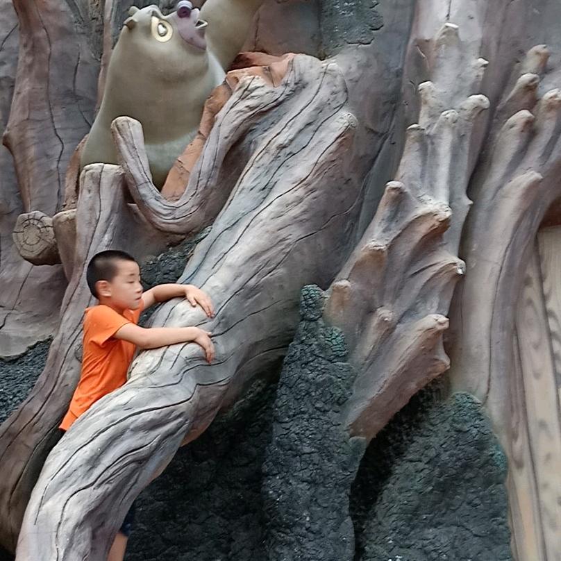 502⭐️↑好运来↗