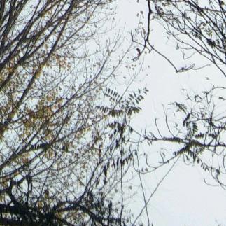 比个心我来告诉你